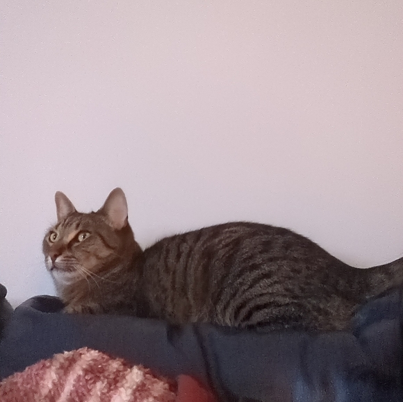 Meet your Posher, Fatin - Picture 2 of 3